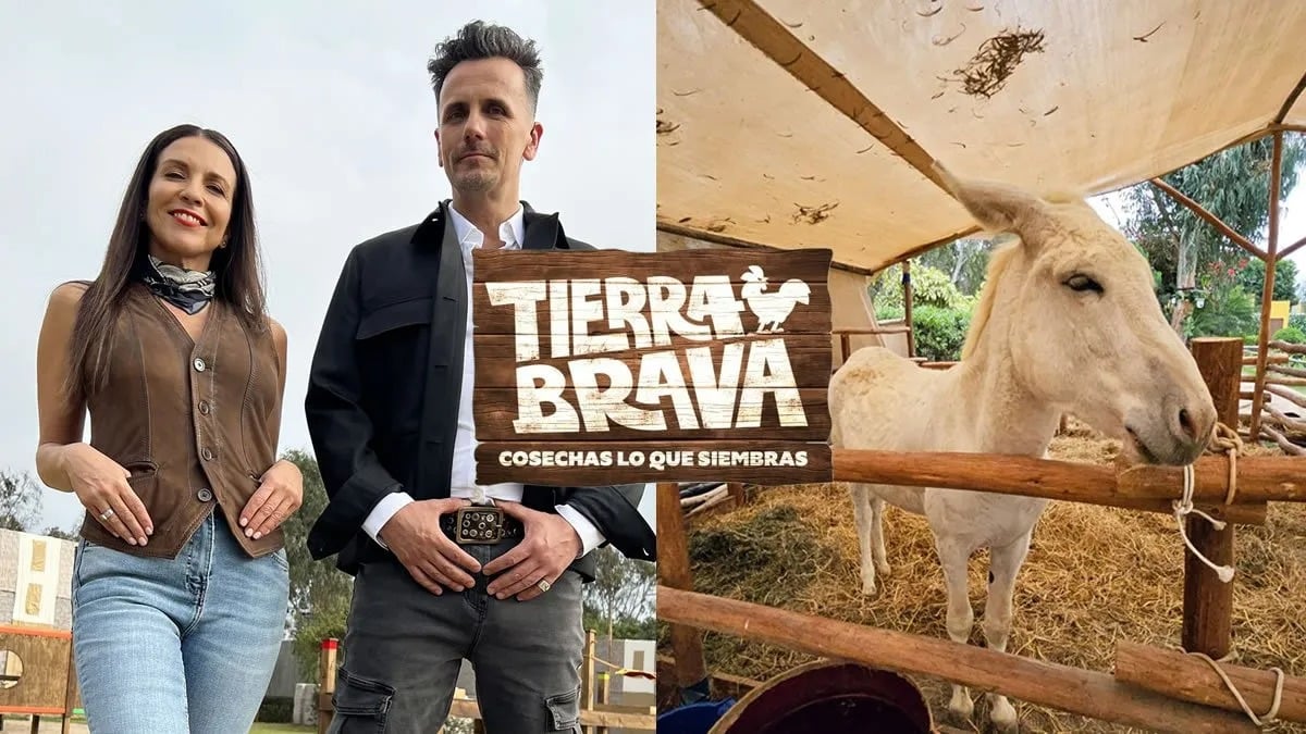 Tierra Brava