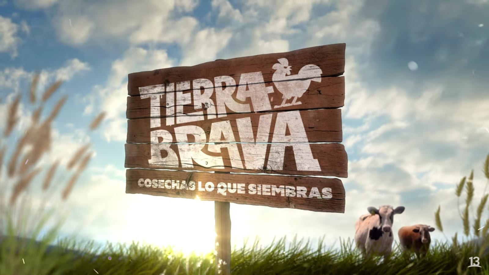 Tierra Brava