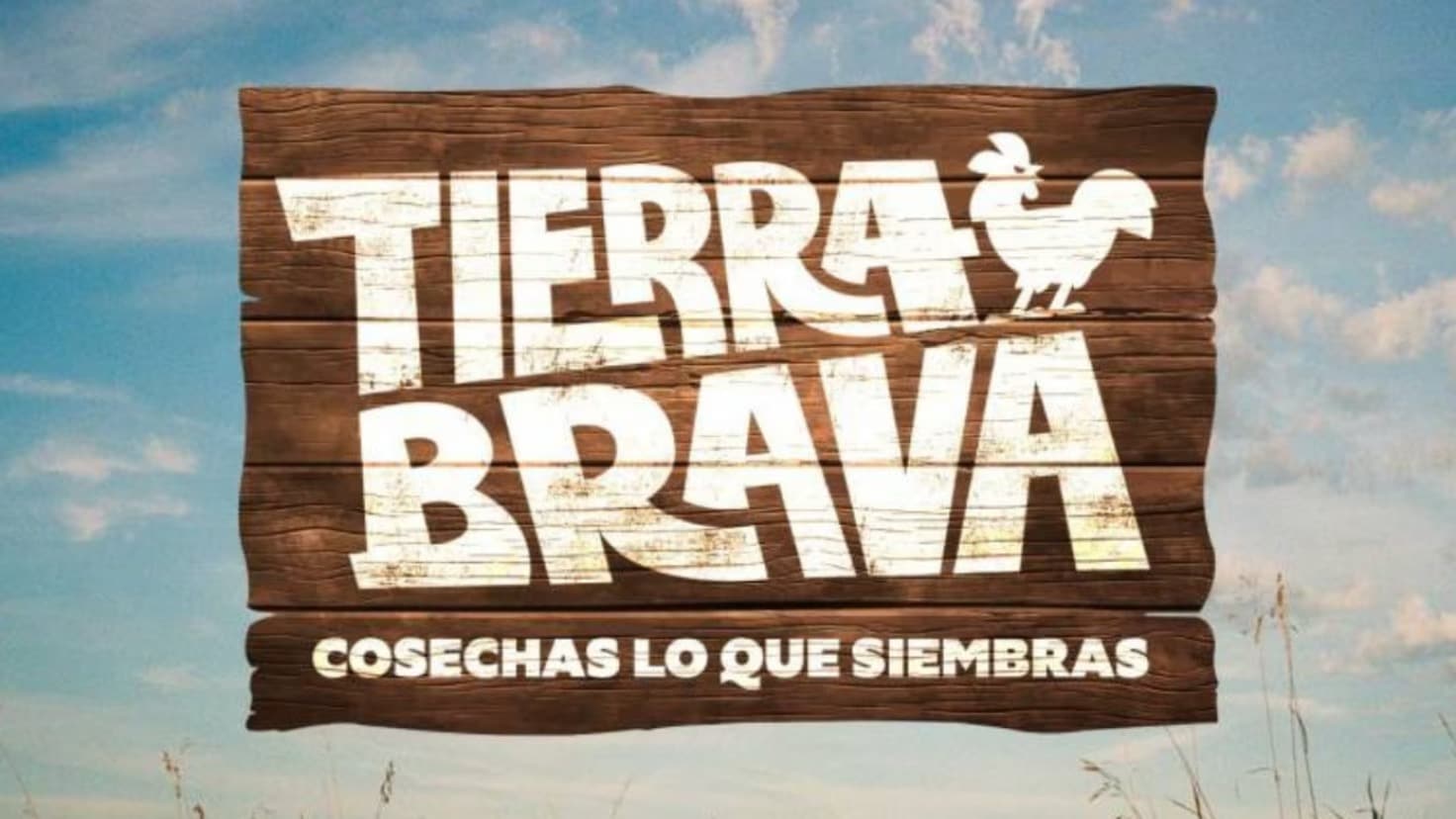 Tierra Brava