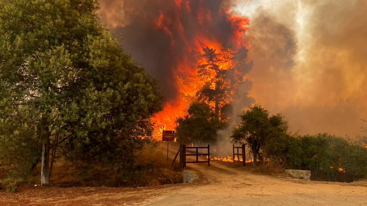 Incendio Forestal