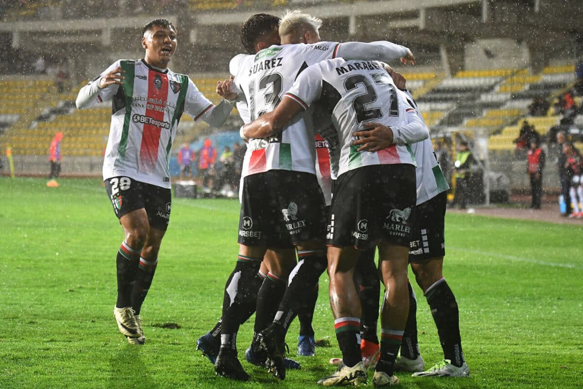 Palestino