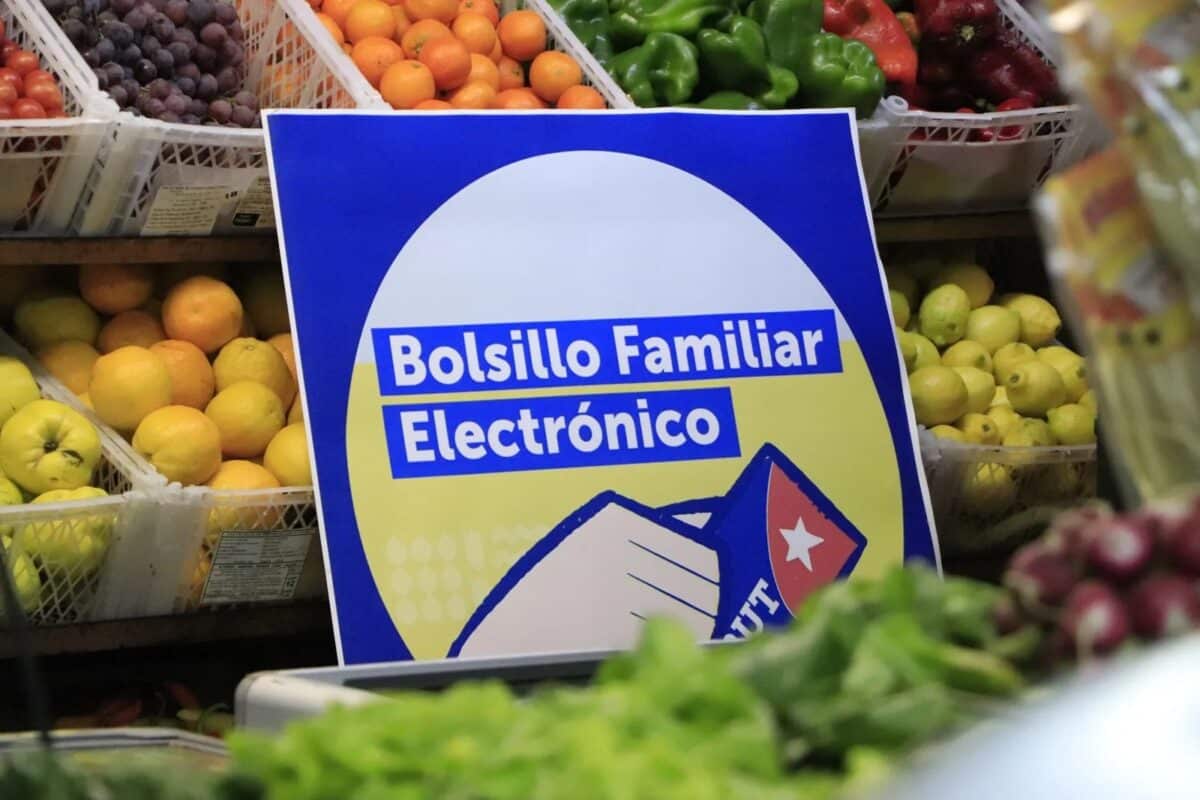 Bolsillo Familiar Electrónico