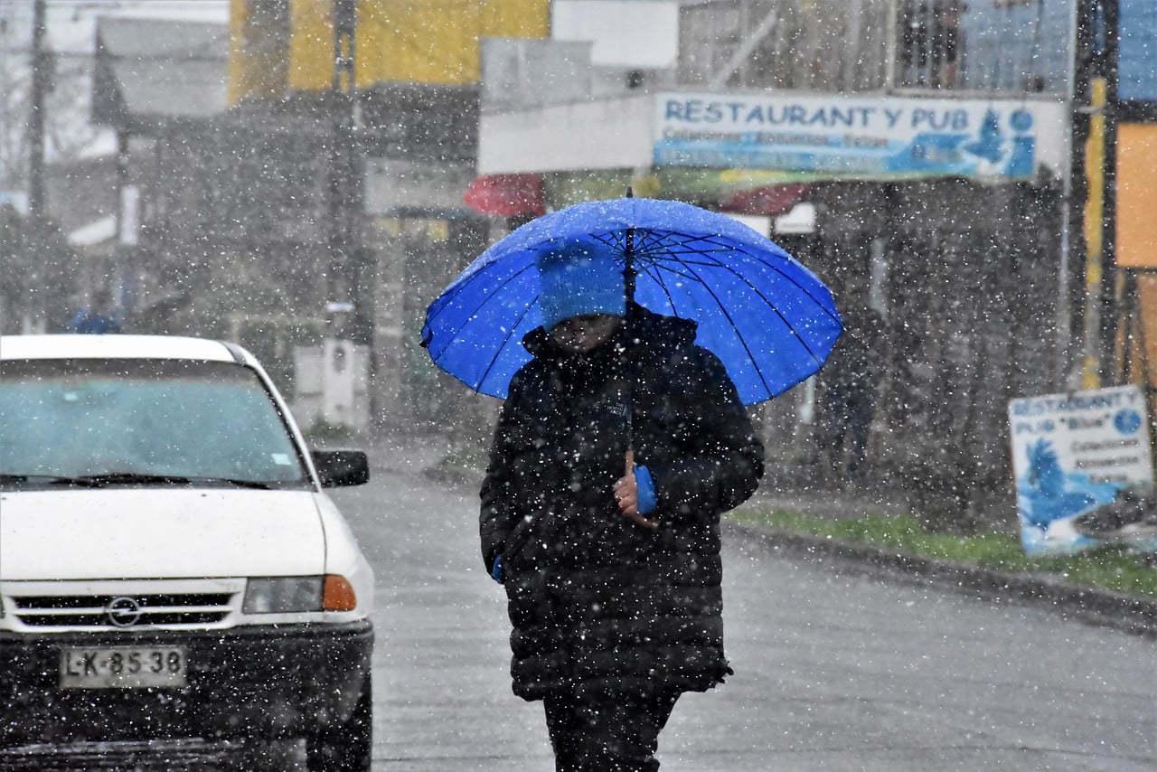 nevadas