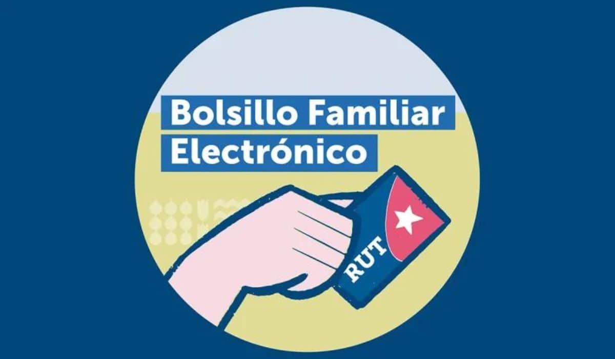 Bolsillo Familiar Electrónico