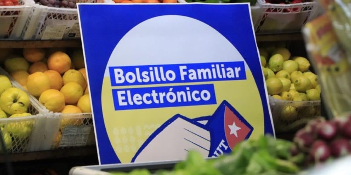 Bolsillo Familiar Electrónico