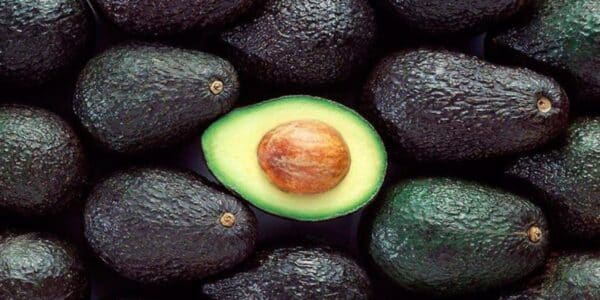 Palta