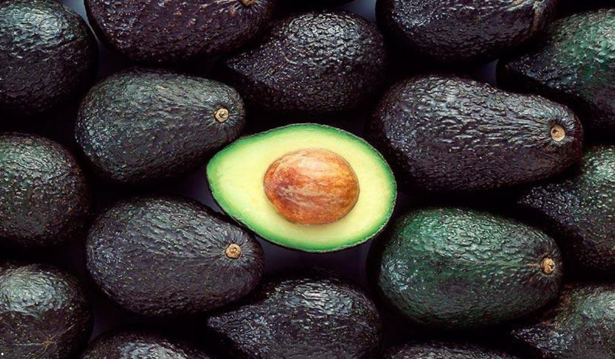 Palta