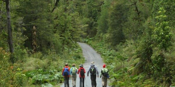 Conoce las hermosas rutas de senderismo en Puerto Montt