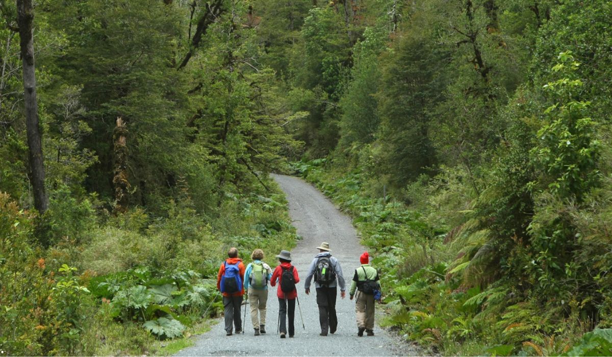 Conoce las hermosas rutas de senderismo en Puerto Montt