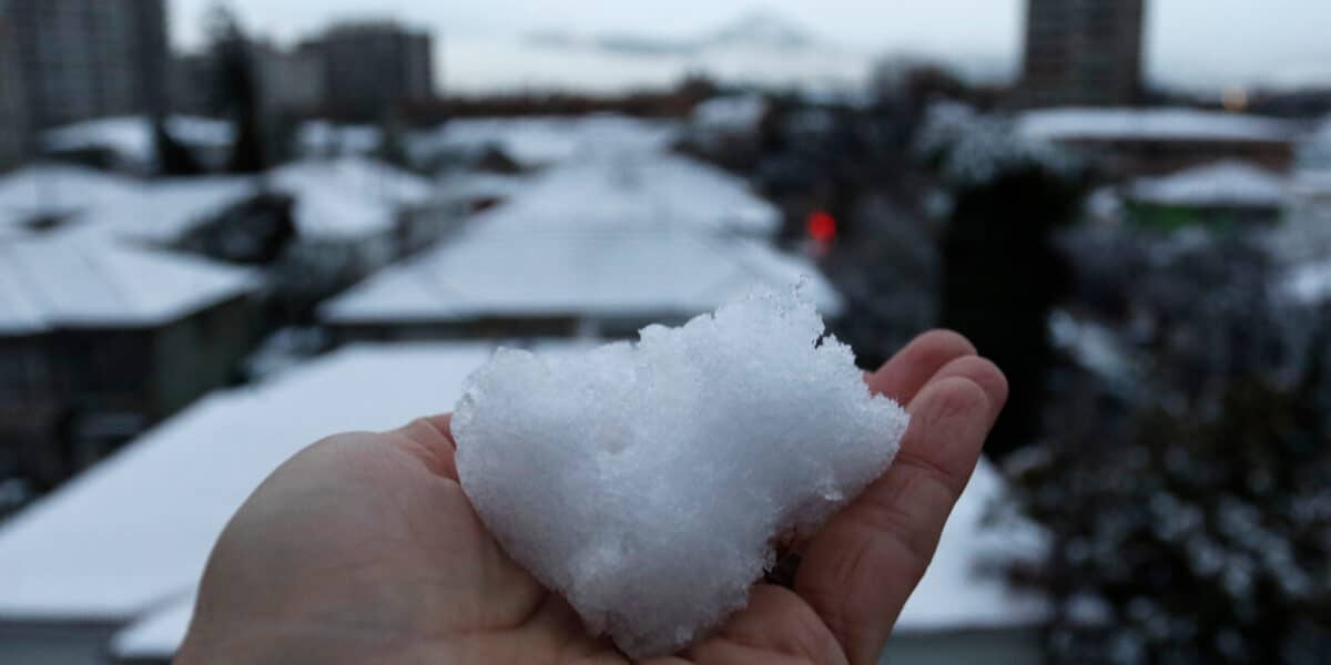 nevadas