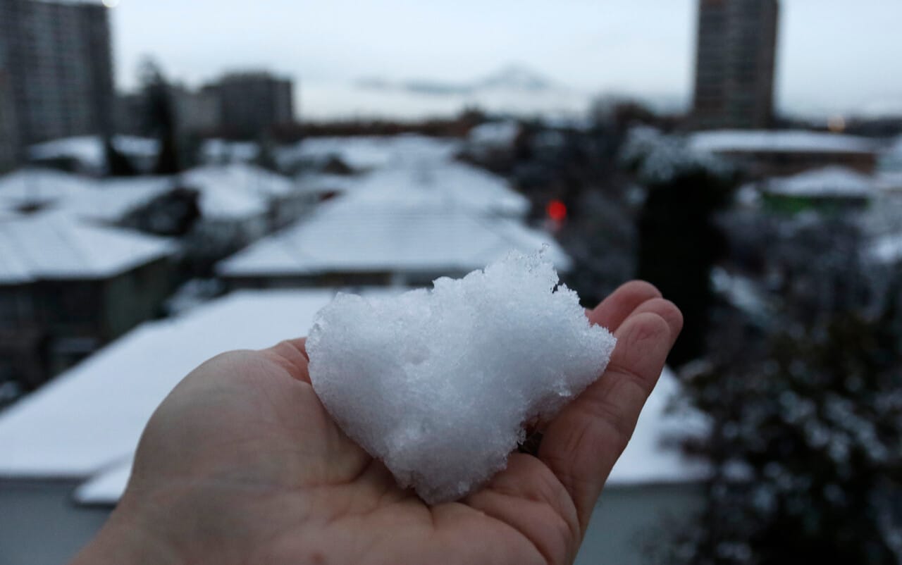 nevadas