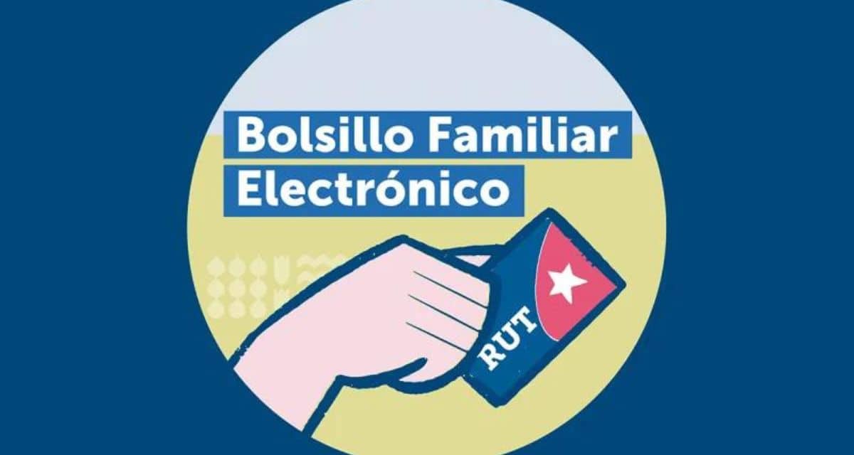 Bolsillo Familiar Electrónico