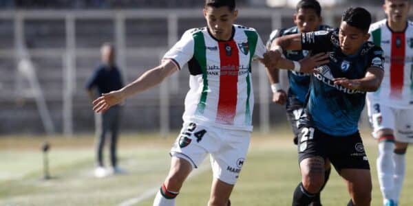 Palestino