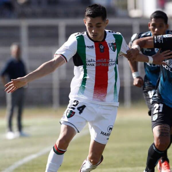 Palestino