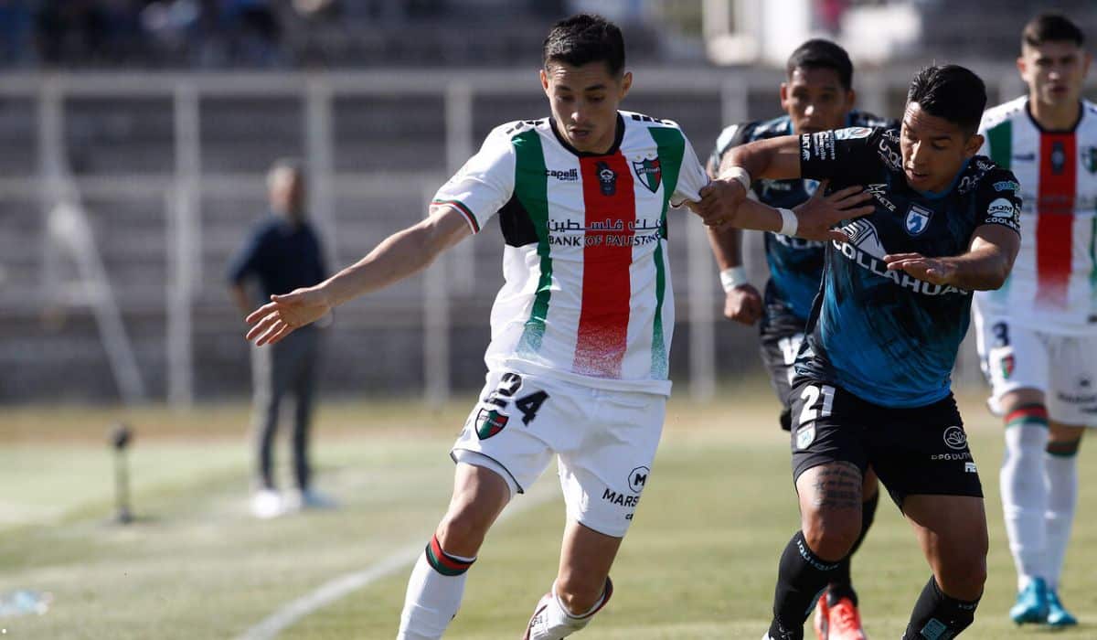 Palestino