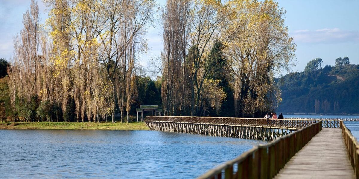 Isla Aucar es patrimonio