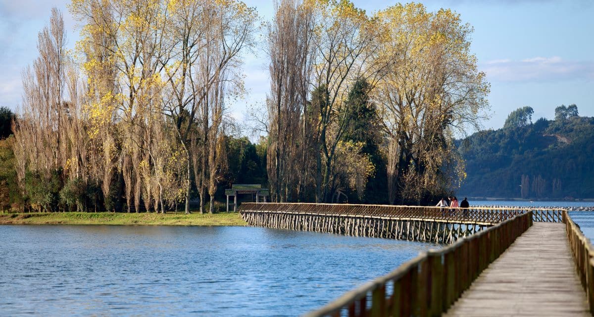 Isla Aucar es patrimonio