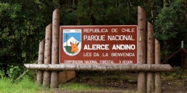 Parque Alerce Andino