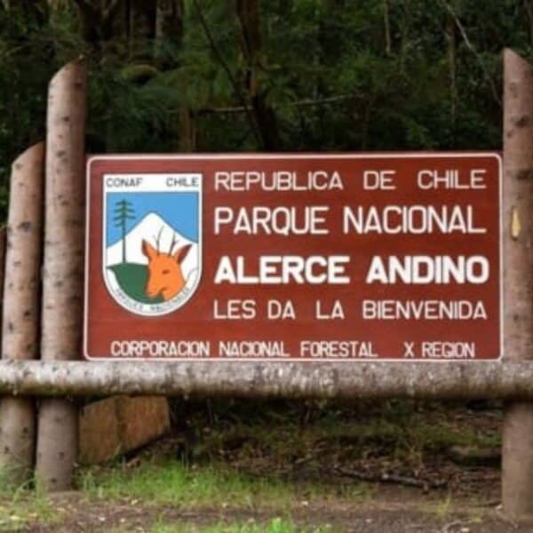 Parque Alerce Andino