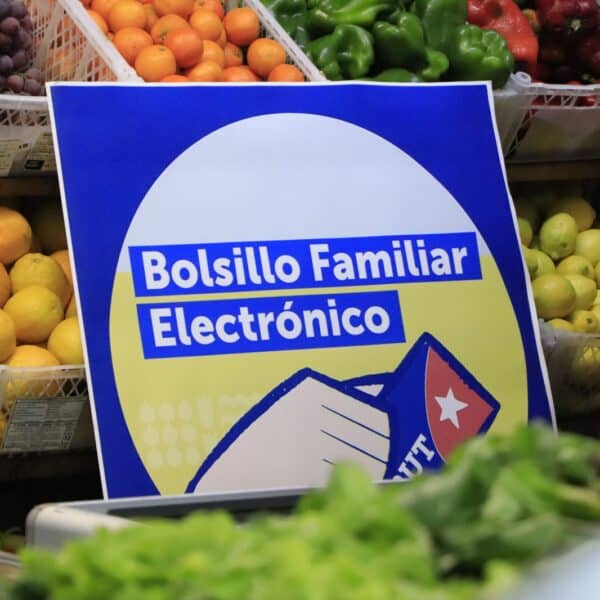 regreso del Bolsillo Familiar Electrónico