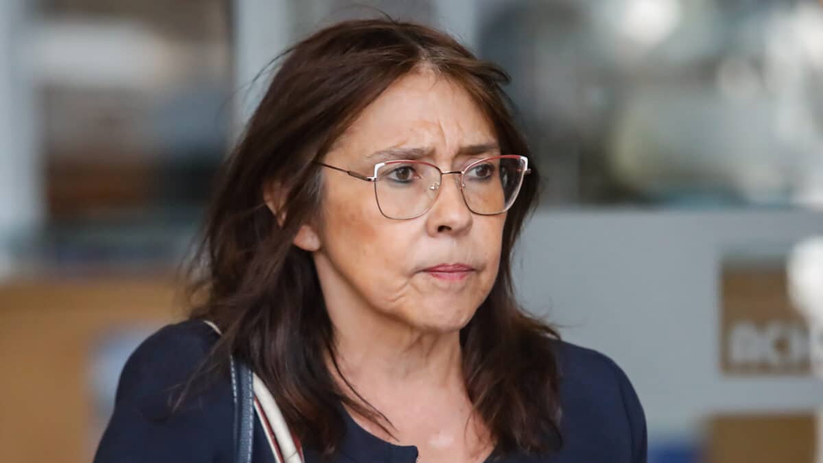 María Inés Horvitz deja defensa