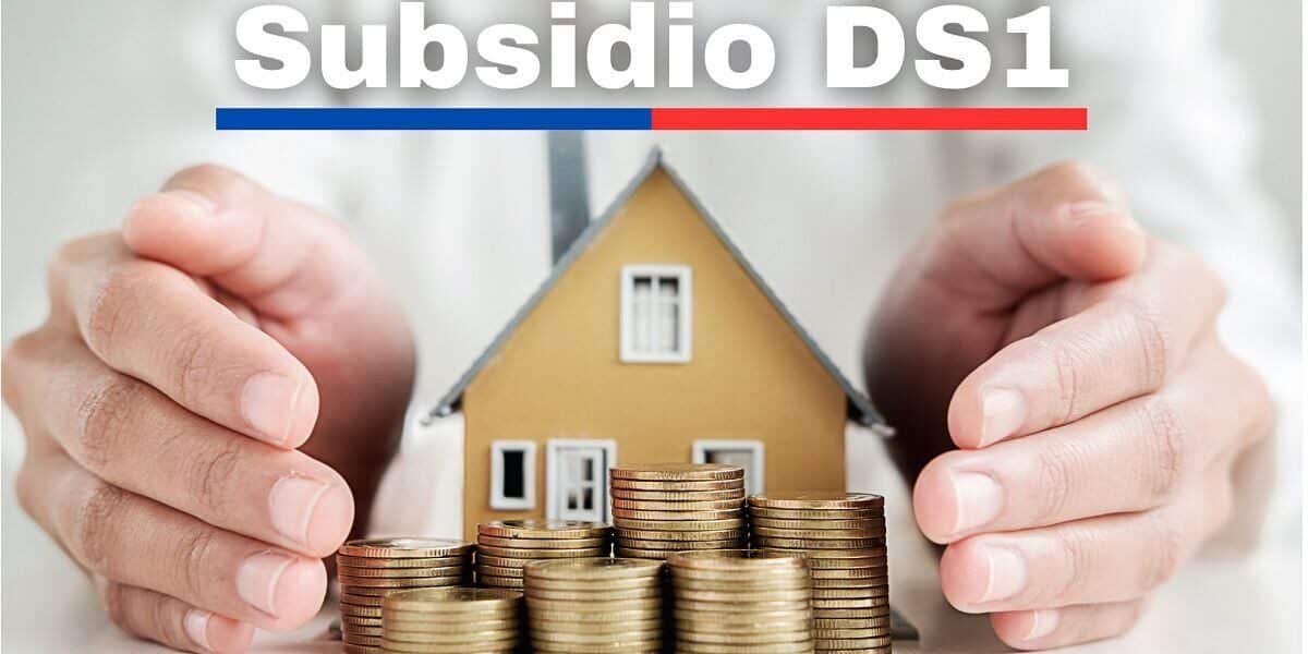 Subsidio DS1