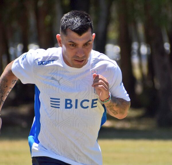 Gary Medel