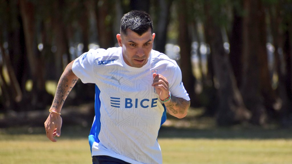 Gary Medel